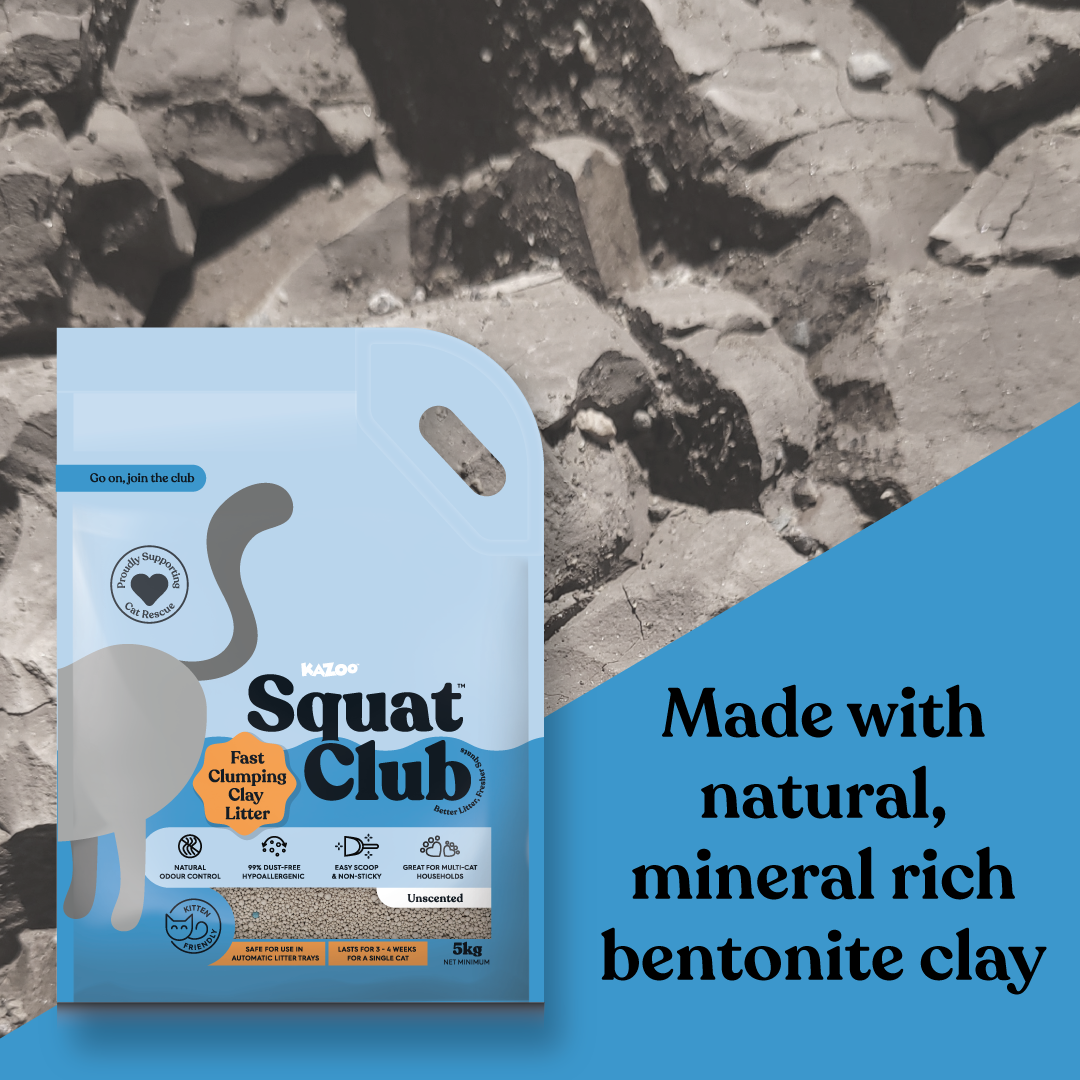 Fast Clumping Clay Cat Litter Unscented