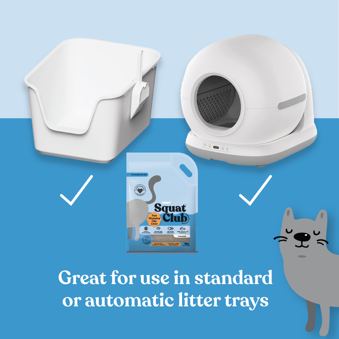 Fast Clumping Clay Cat Litter Unscented