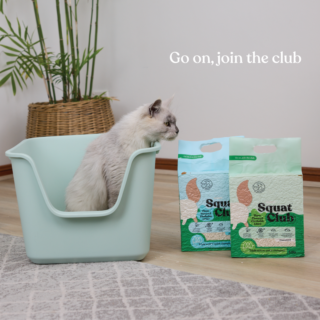 Plant Powered Flushable Cat Litter
