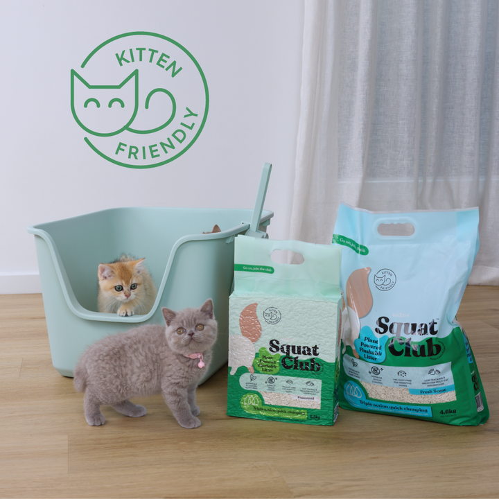 Plant Powered Flushable Cat Litter