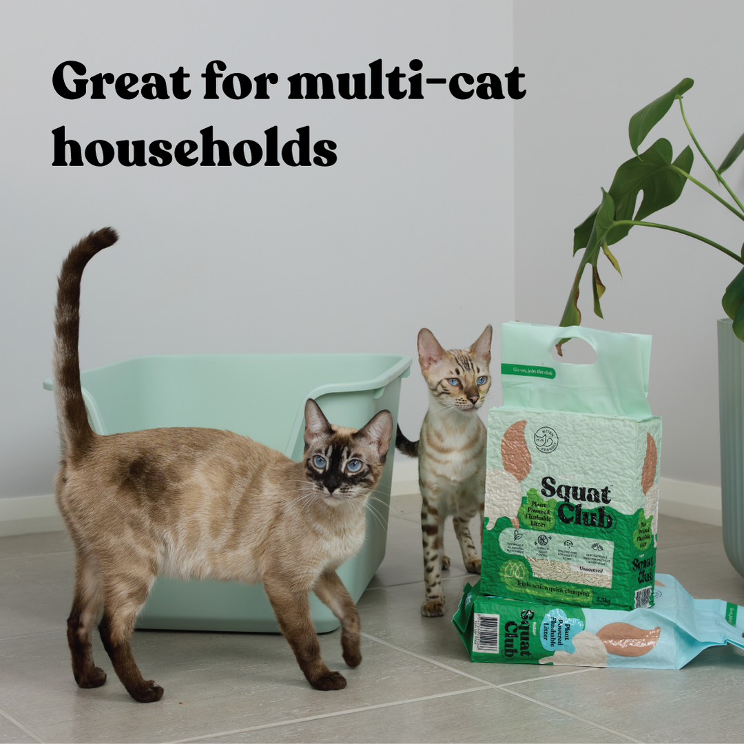Plant Powered Flushable Cat Litter
