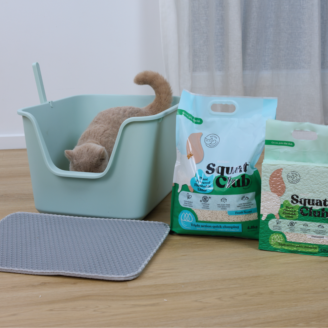Plant Powered Flushable Cat Litter