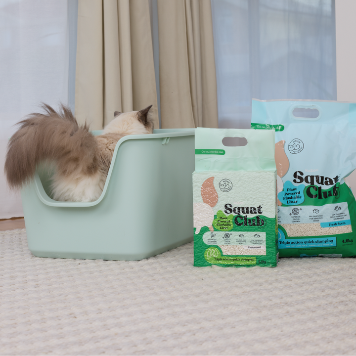 Plant Powered Flushable Cat Litter
