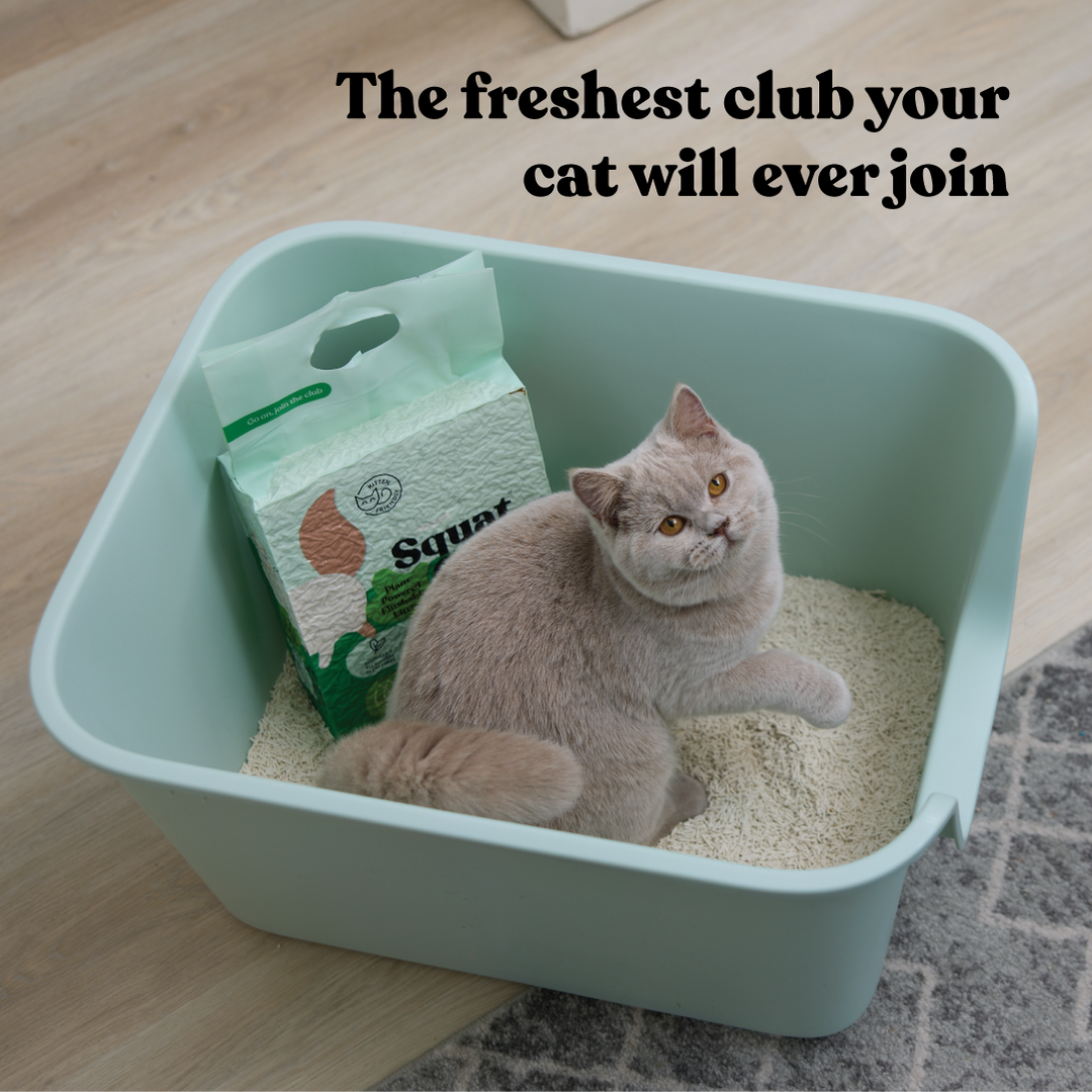 Plant Powered Flushable Cat Litter