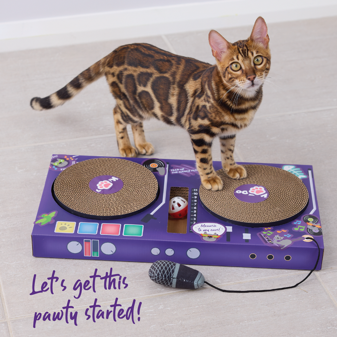 DJ Scratchez Cardboard Cat Scratcher