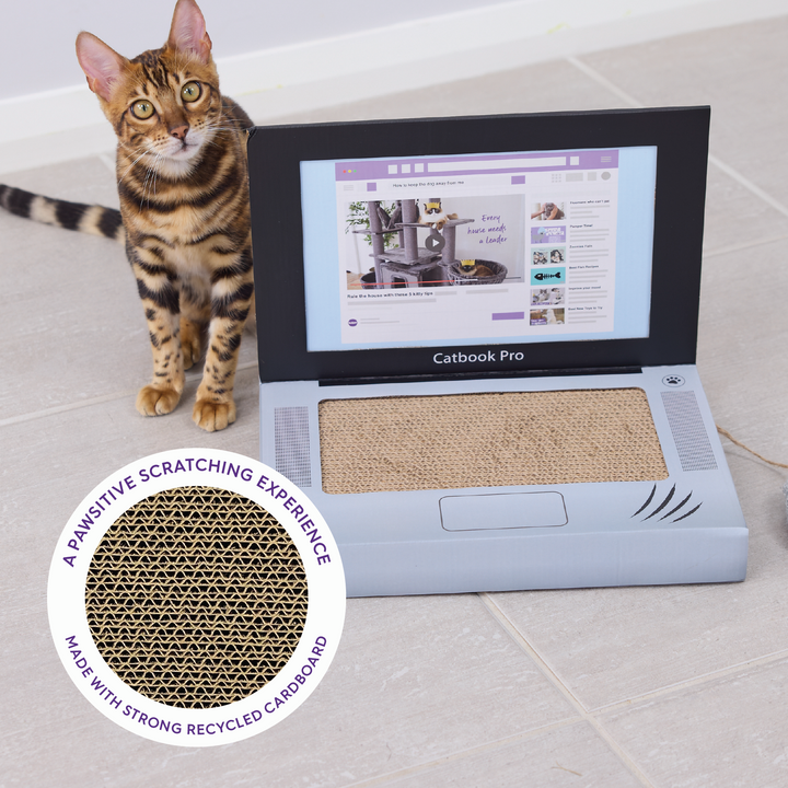 Catbook Pro - Cardboard Cat Laptop