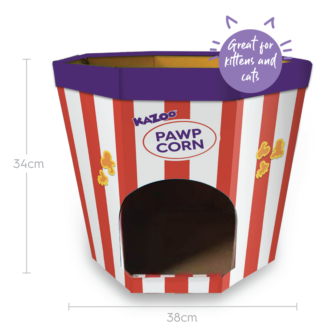 Kitty Popcorn Cardboard House