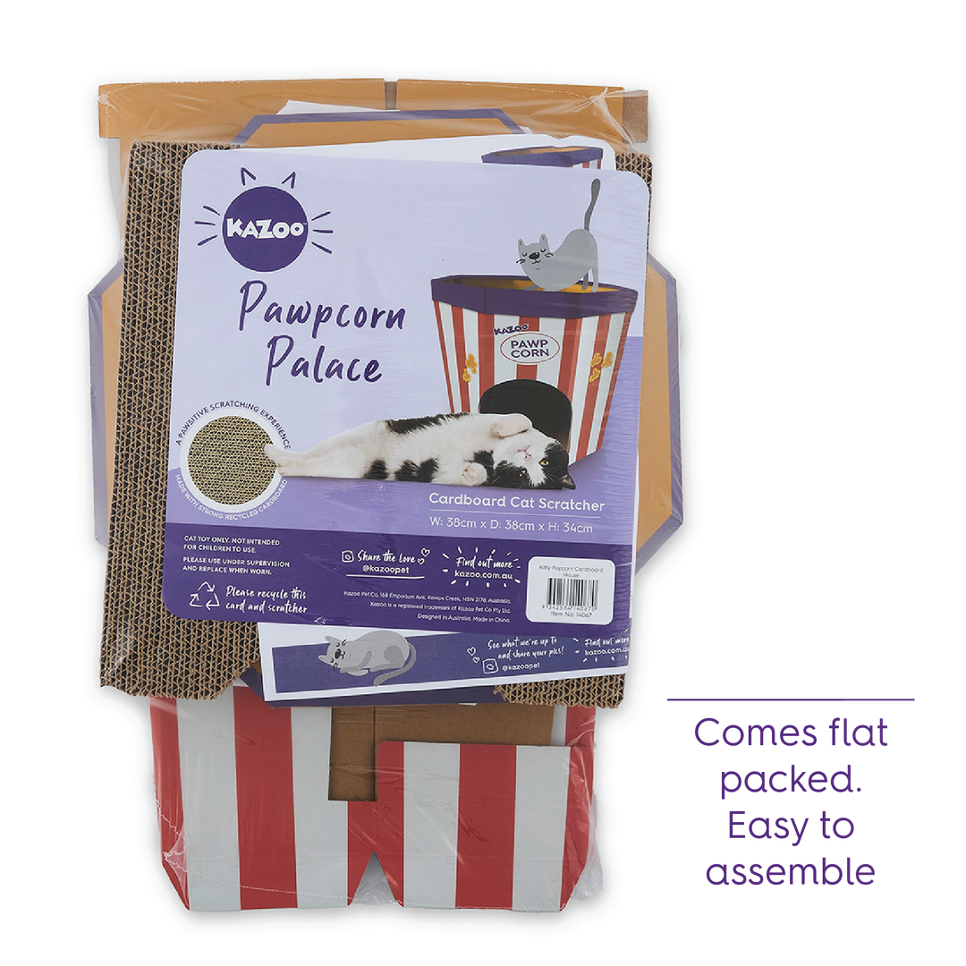 Kitty Popcorn Cardboard House