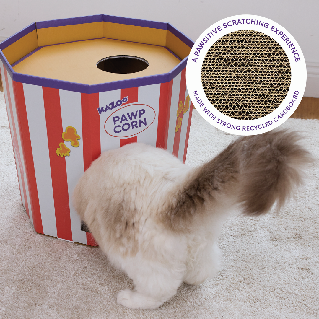 Kitty Popcorn Cardboard House
