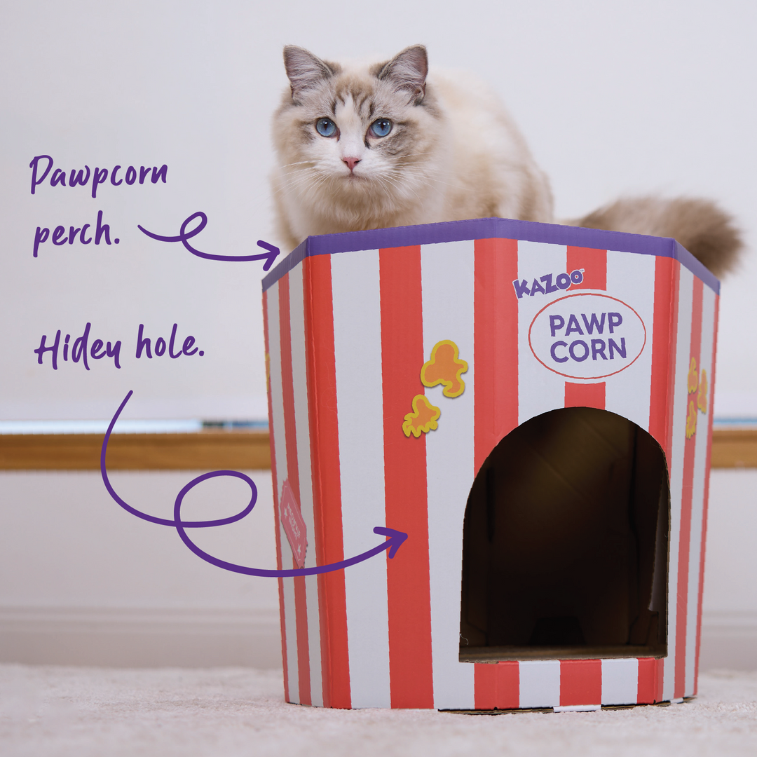 Kitty Popcorn Cardboard House