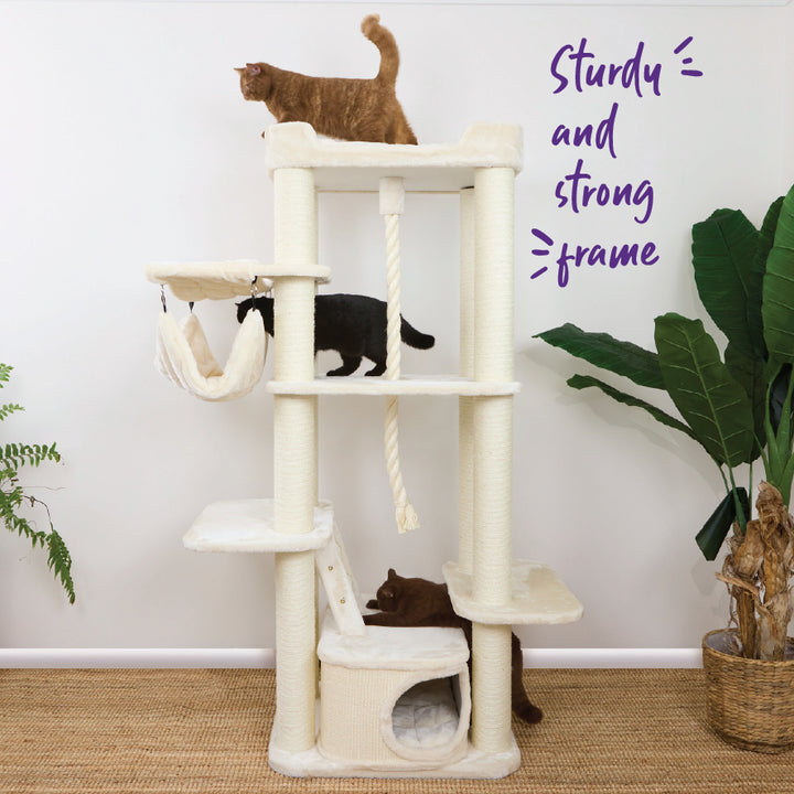Kitty Climb Playground - Cream