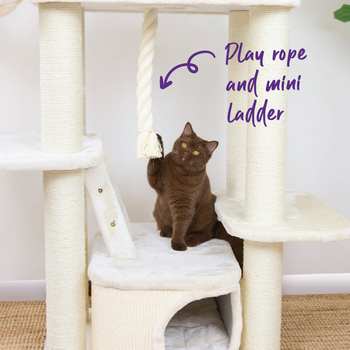 Kitty Climb Playground - Cream