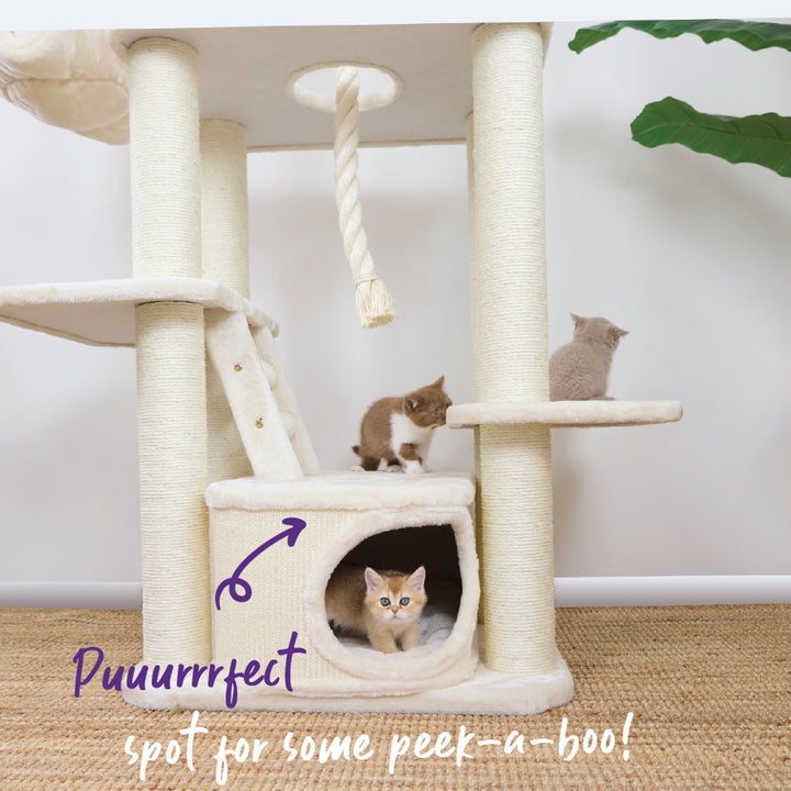 Kitty Climb Playground - Cream