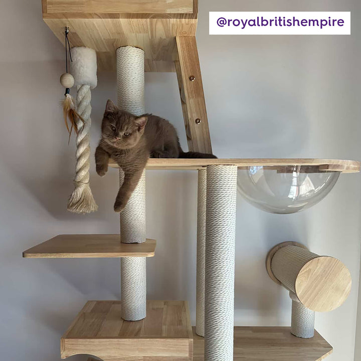 Multi Level Scandi Cat Tower