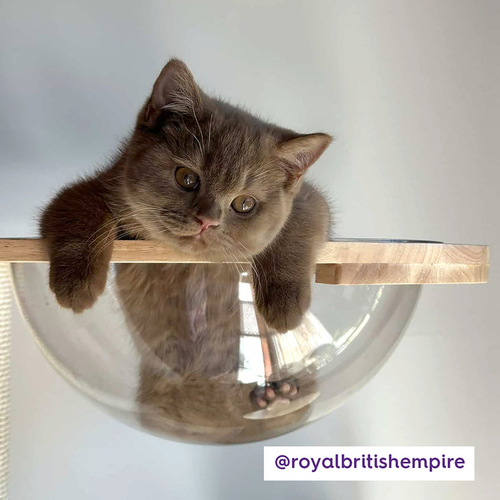 Multi Level Scandi Cat Tower