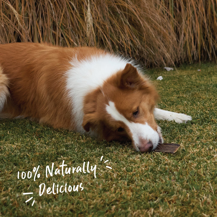 Aussie Kangaroo Jerky Value Pack - 1kg