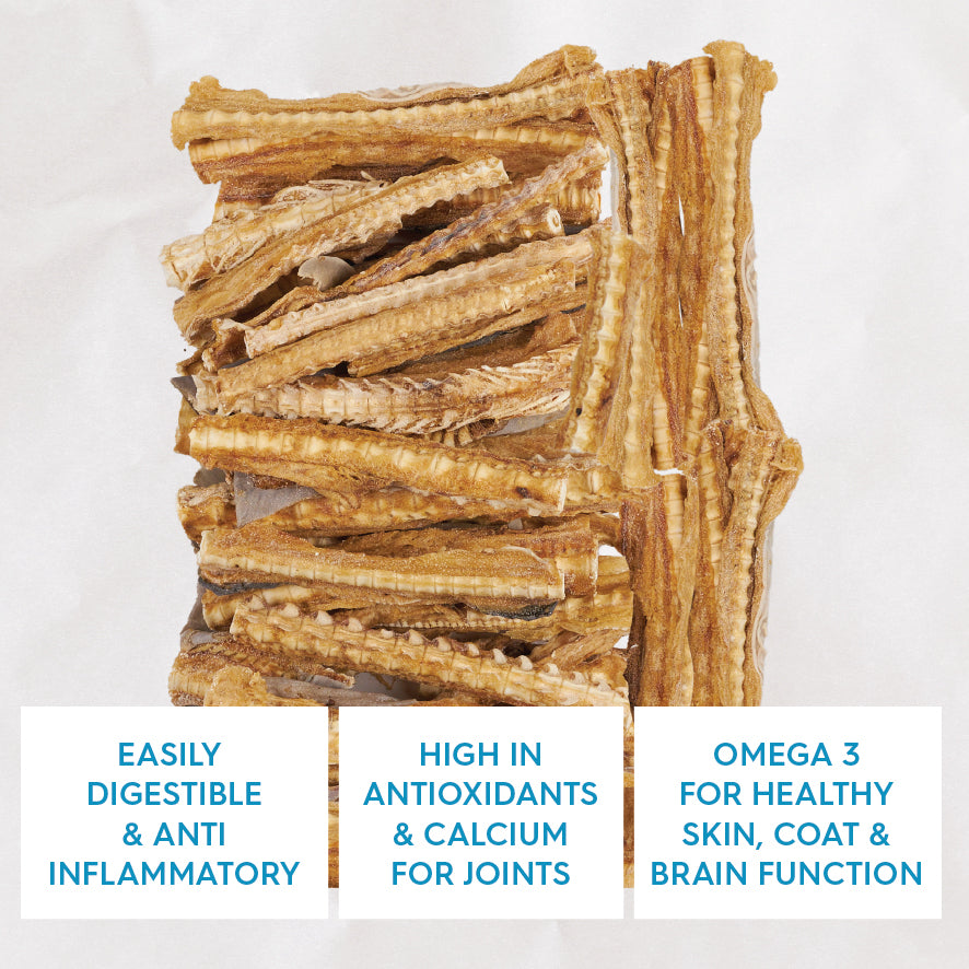 Aussie Shark Cartilage Value Pack - 1kg