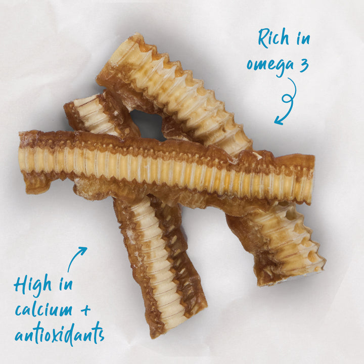 Aussie Shark Cartilage Value Pack - 1kg