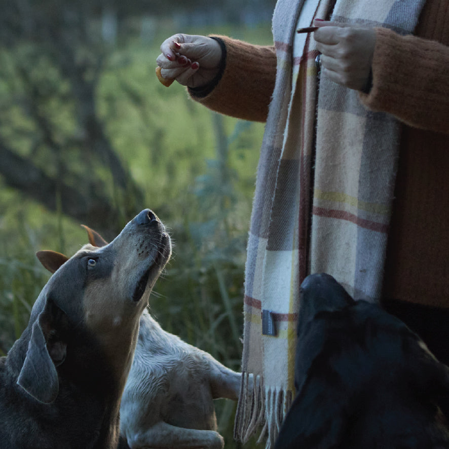 Aussie Kangaroo Liver Value Pack - 1kg