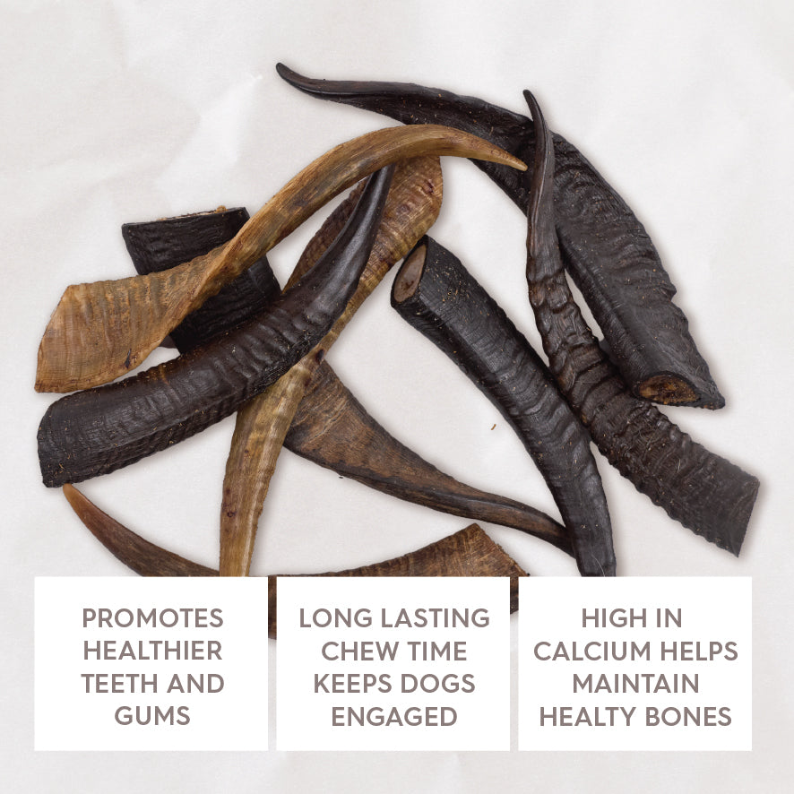Aussie Goat Horn Dog Treat