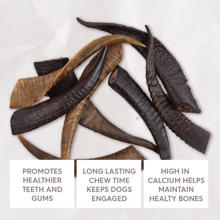 Aussie Goat Horn Dog Treat