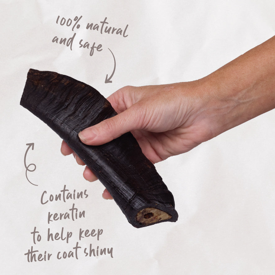 Aussie Goat Horn Dog Treat