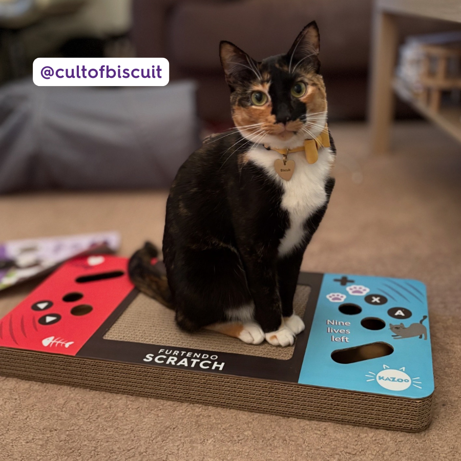 Furtendo Scratch - Cardboard Cat Scratcher