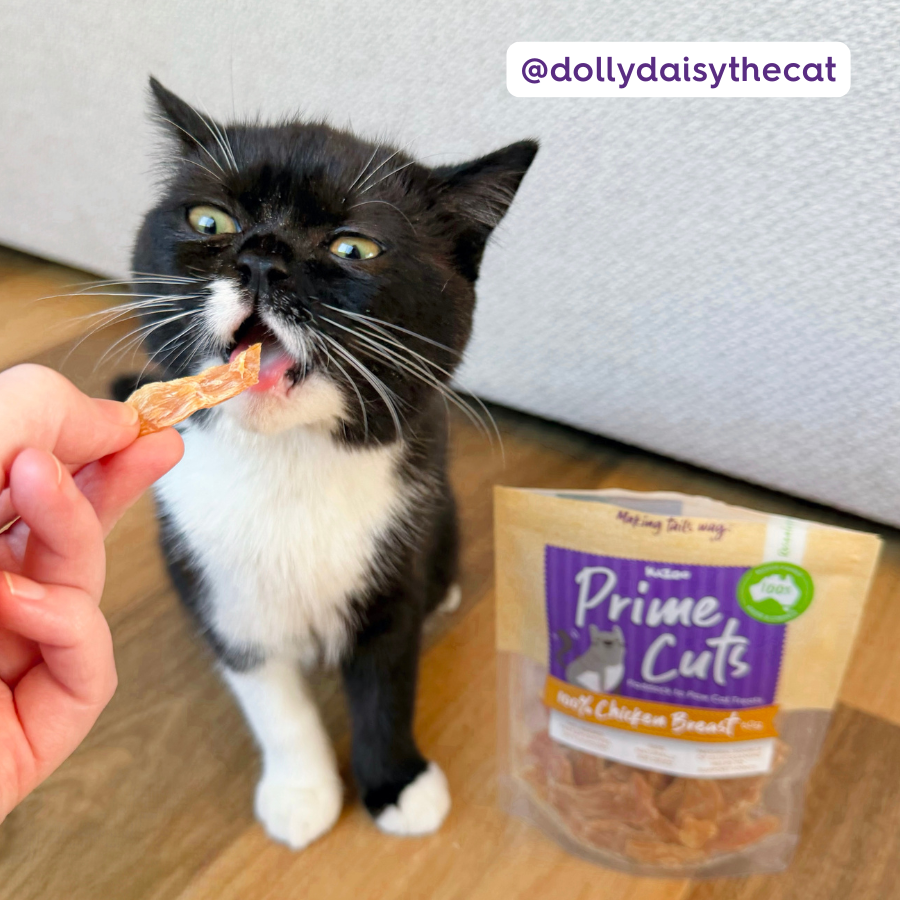 Aussie Chicken Breast Cat Treats