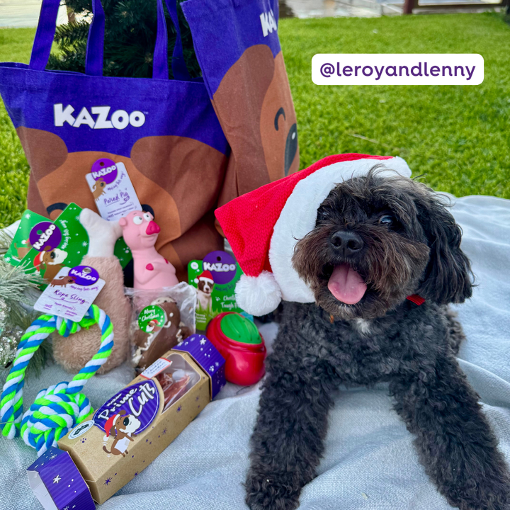 Christmas Dog Gift Bag