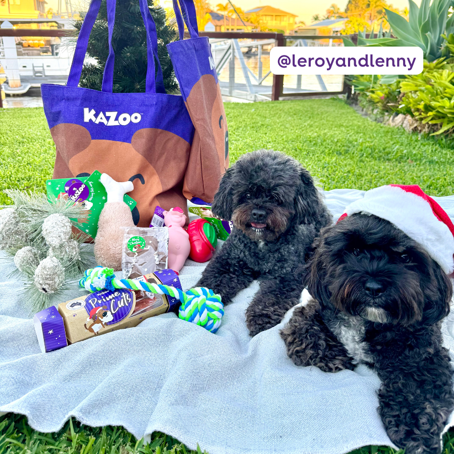 Christmas Dog Gift Bag