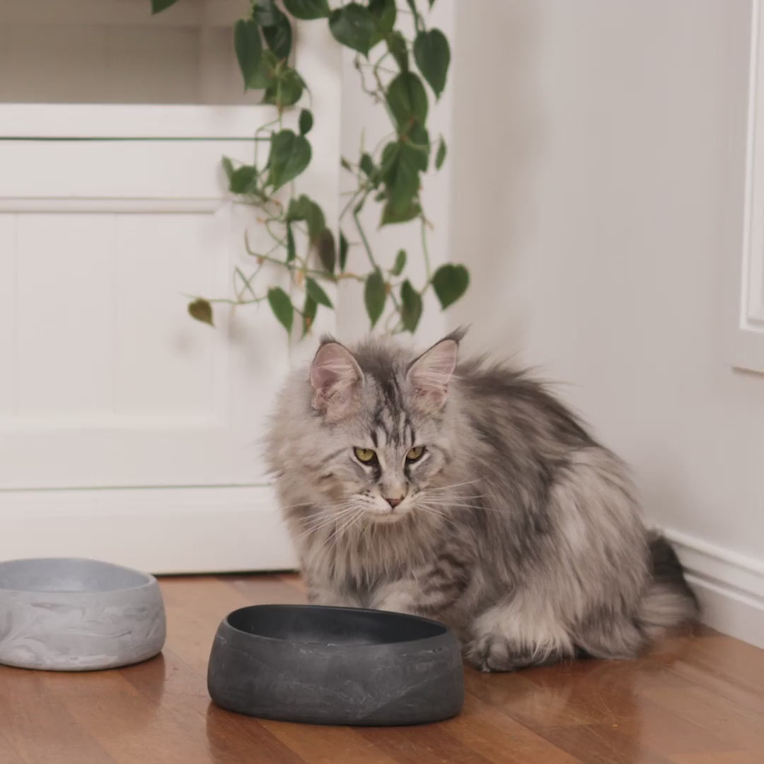 Better Bowl For Cats - Musk Pink