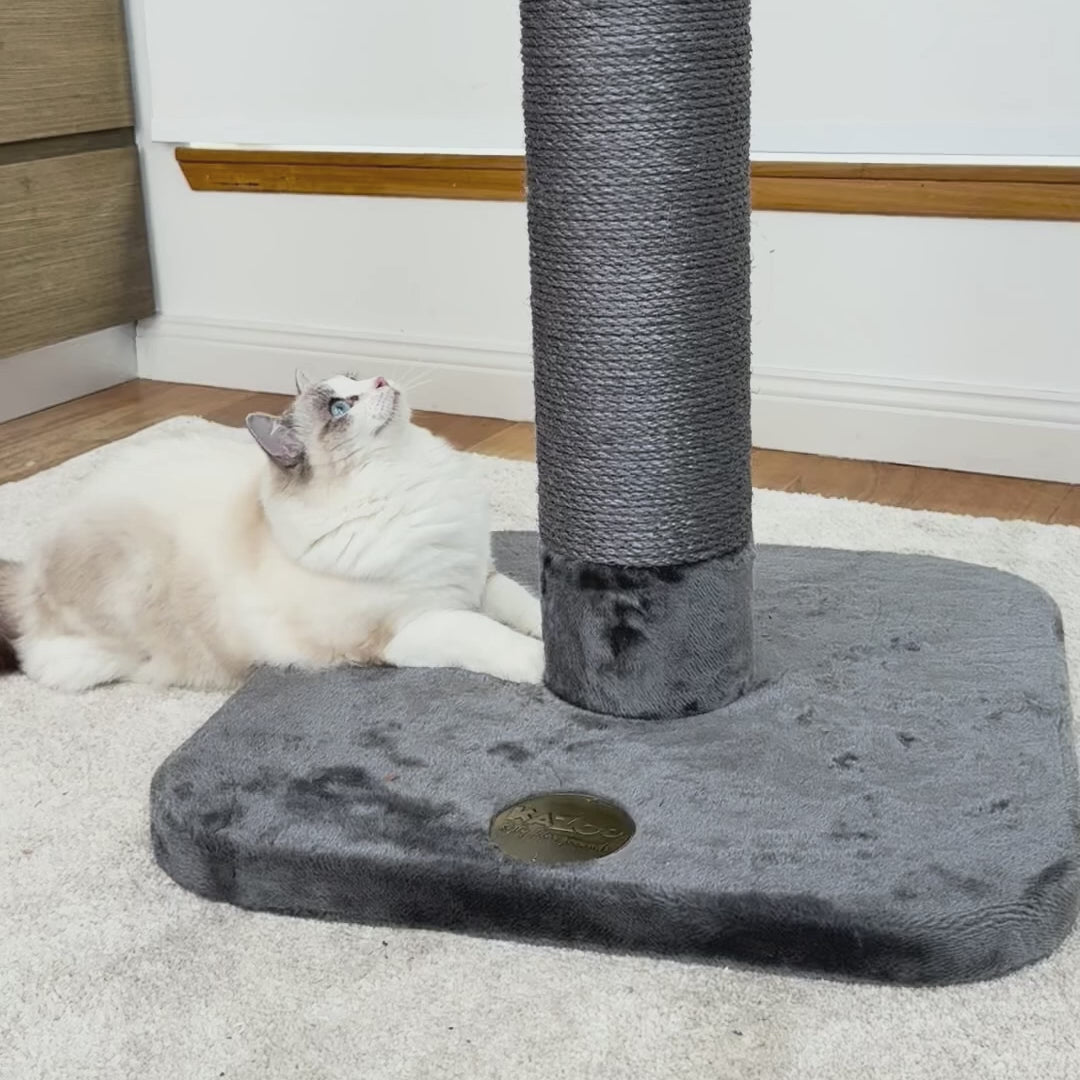 Cat Scratch Post - Grey - Large
