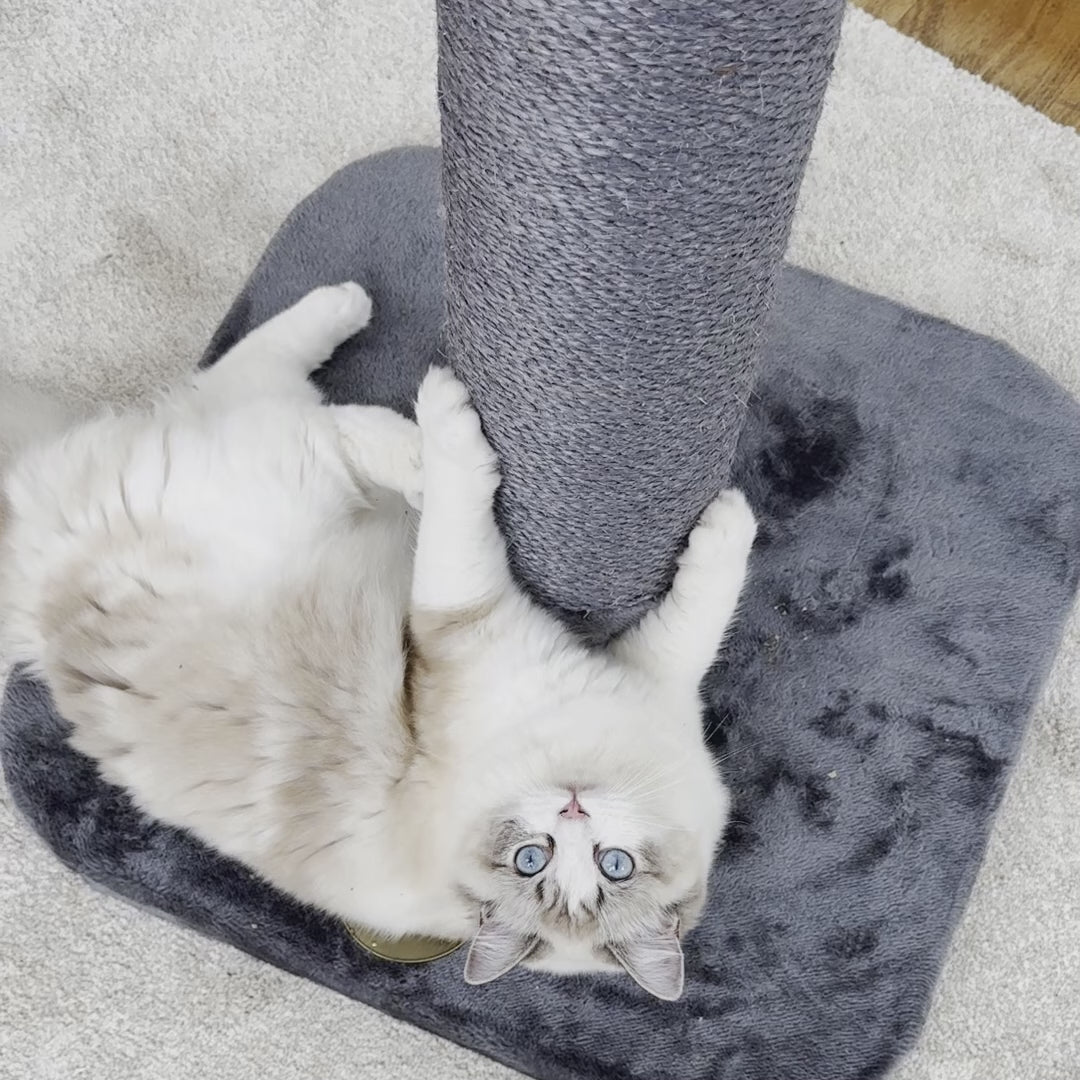Cat Scratch Post - Grey - Large