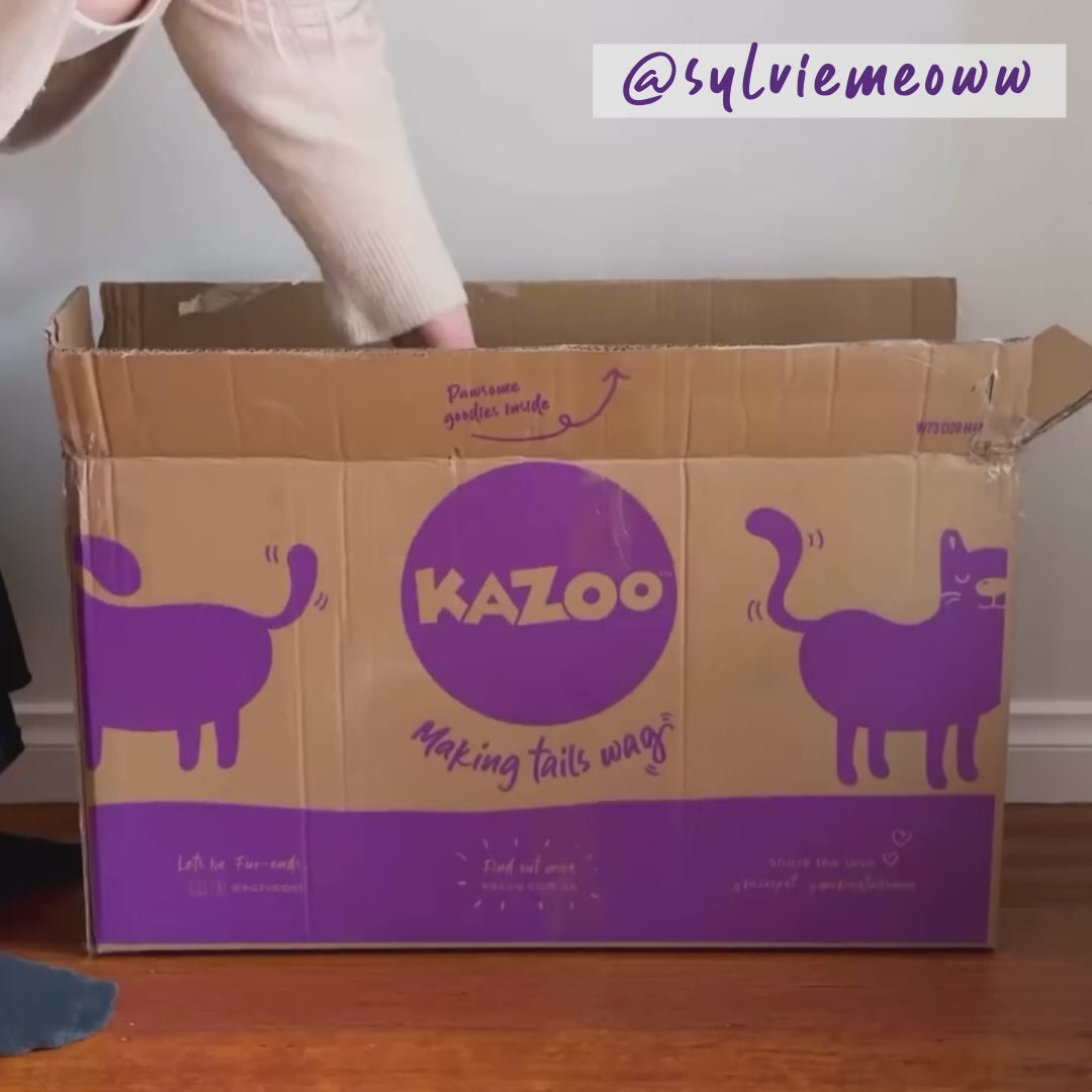 Cat Cottage Cardboard House