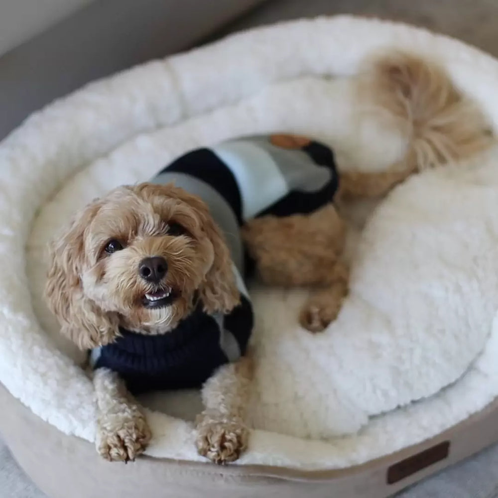 videowise-widget-66ff574c469e6e002984ccd3-9306349797687