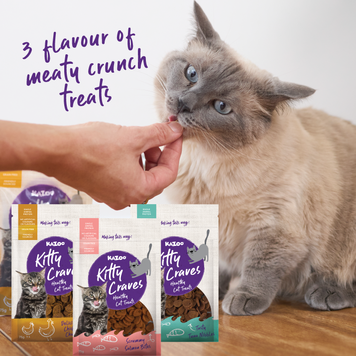 Cat Puree & Biscuit Treat Bundle
