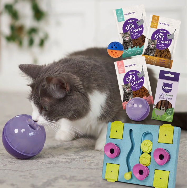 Clever Cat Enrichment Bundle