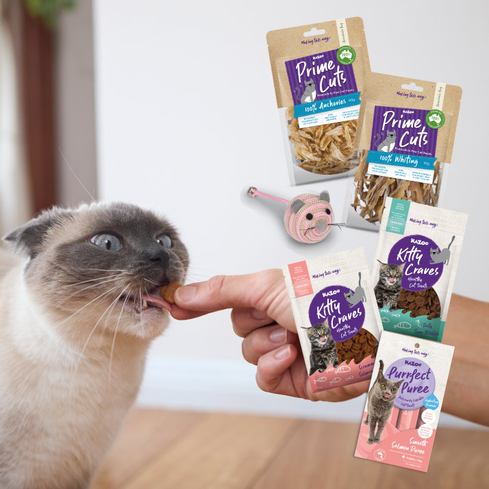 Fintastic Feast Cat Treat Bundle