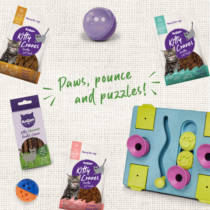 Clever Cat Enrichment Bundle