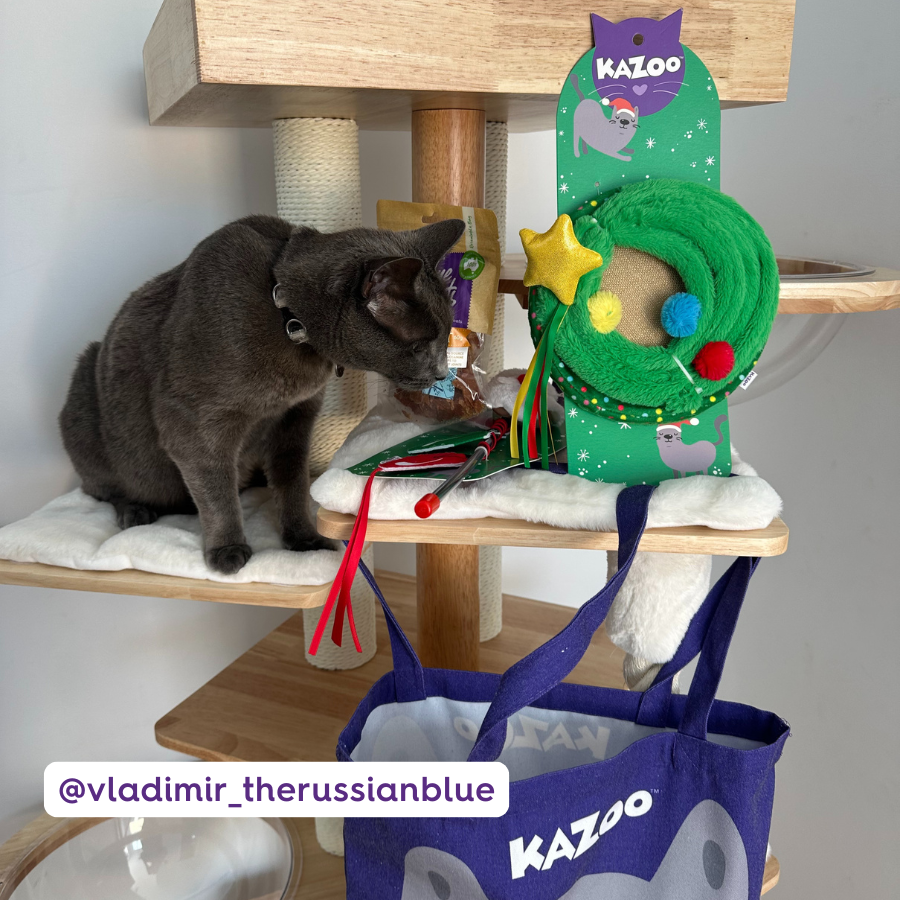 Christmas Cat Gift Bag