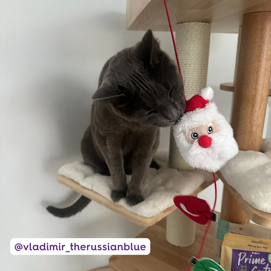 Christmas Cat Toy - Santa Wand Teaser