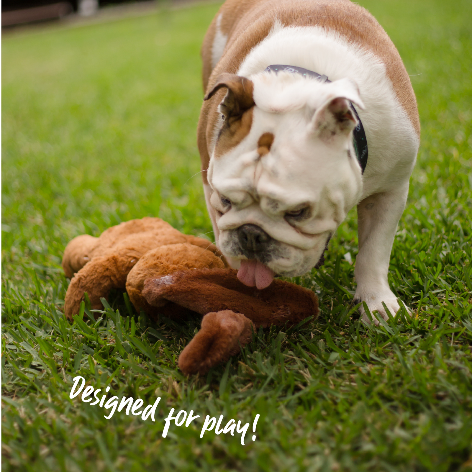 Furries - Long Eared Dog - Kazoo Pet Co