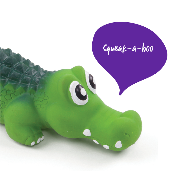 Cool Crocodile - Small - Kazoo Pet Co