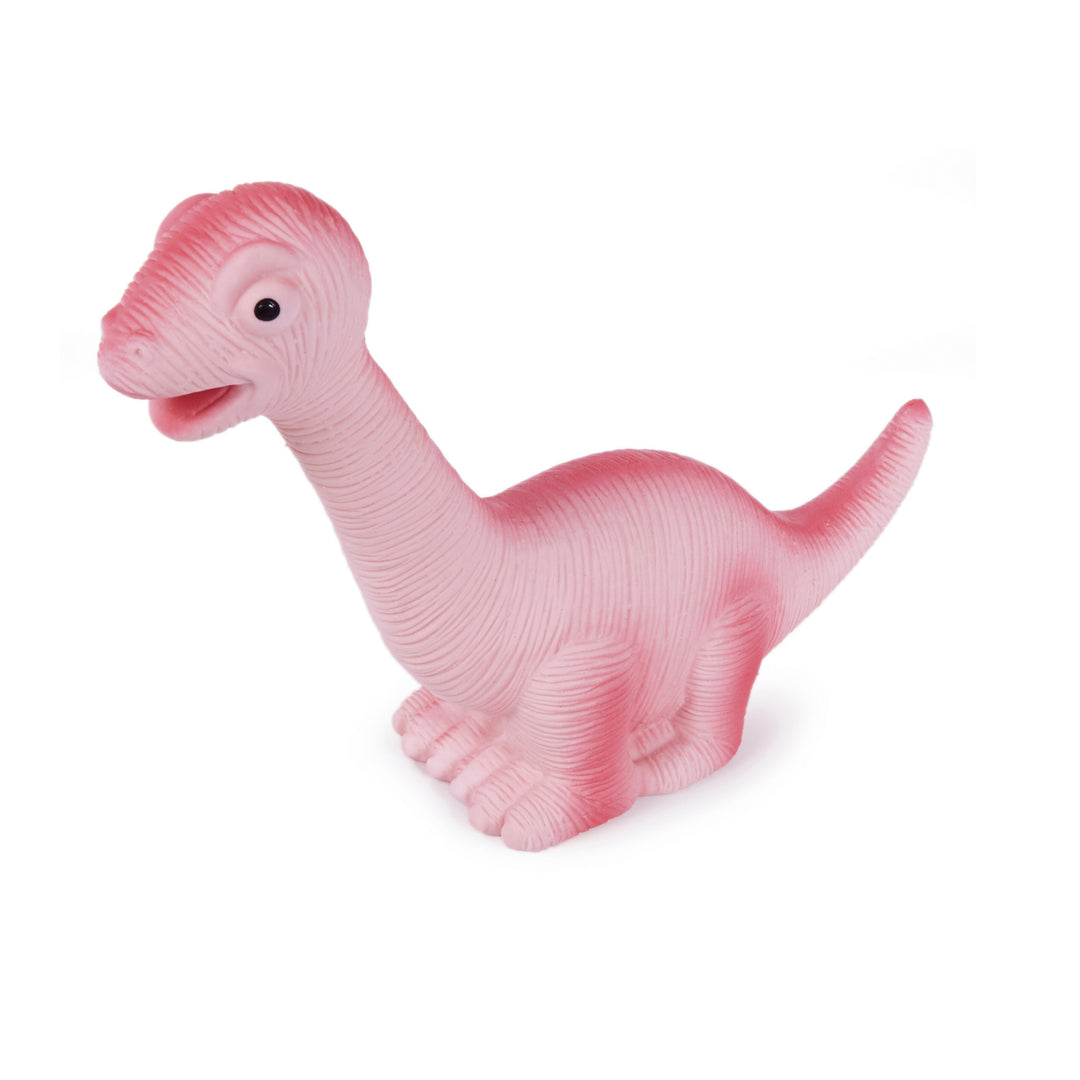 Lanky Long Neck Squeaky Dog Toy