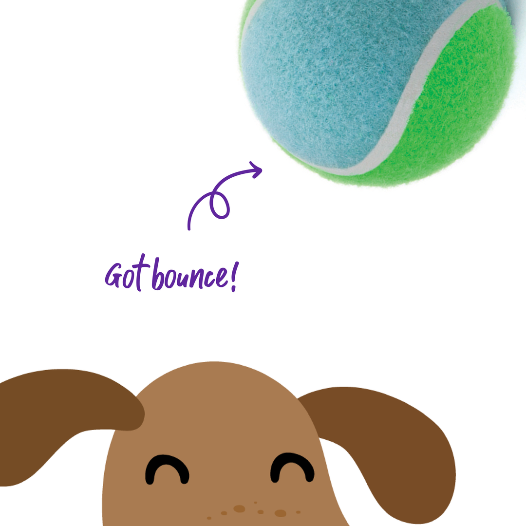 Puncture Proof Tennis Ball - Kazoo Pet Co