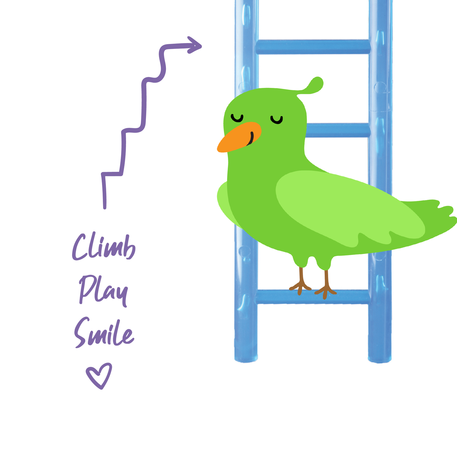 Ladder 6-Step Deco - Kazoo Pet Co
