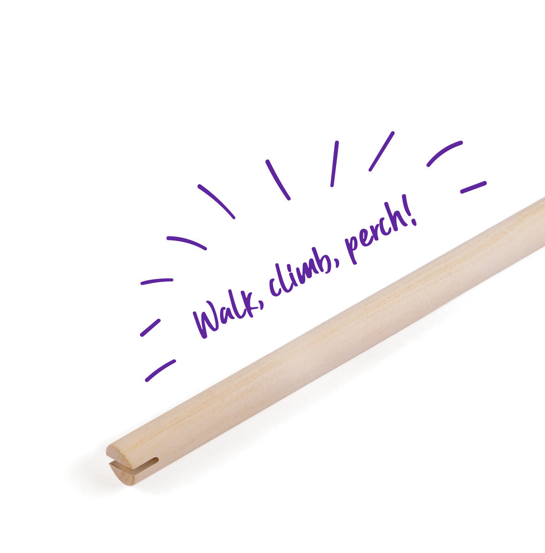 Wooden Perch - Kazoo Pet Co