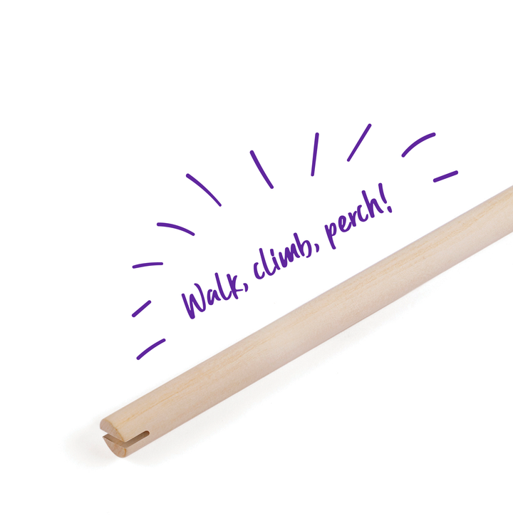 Wooden Perch - Kazoo Pet Co