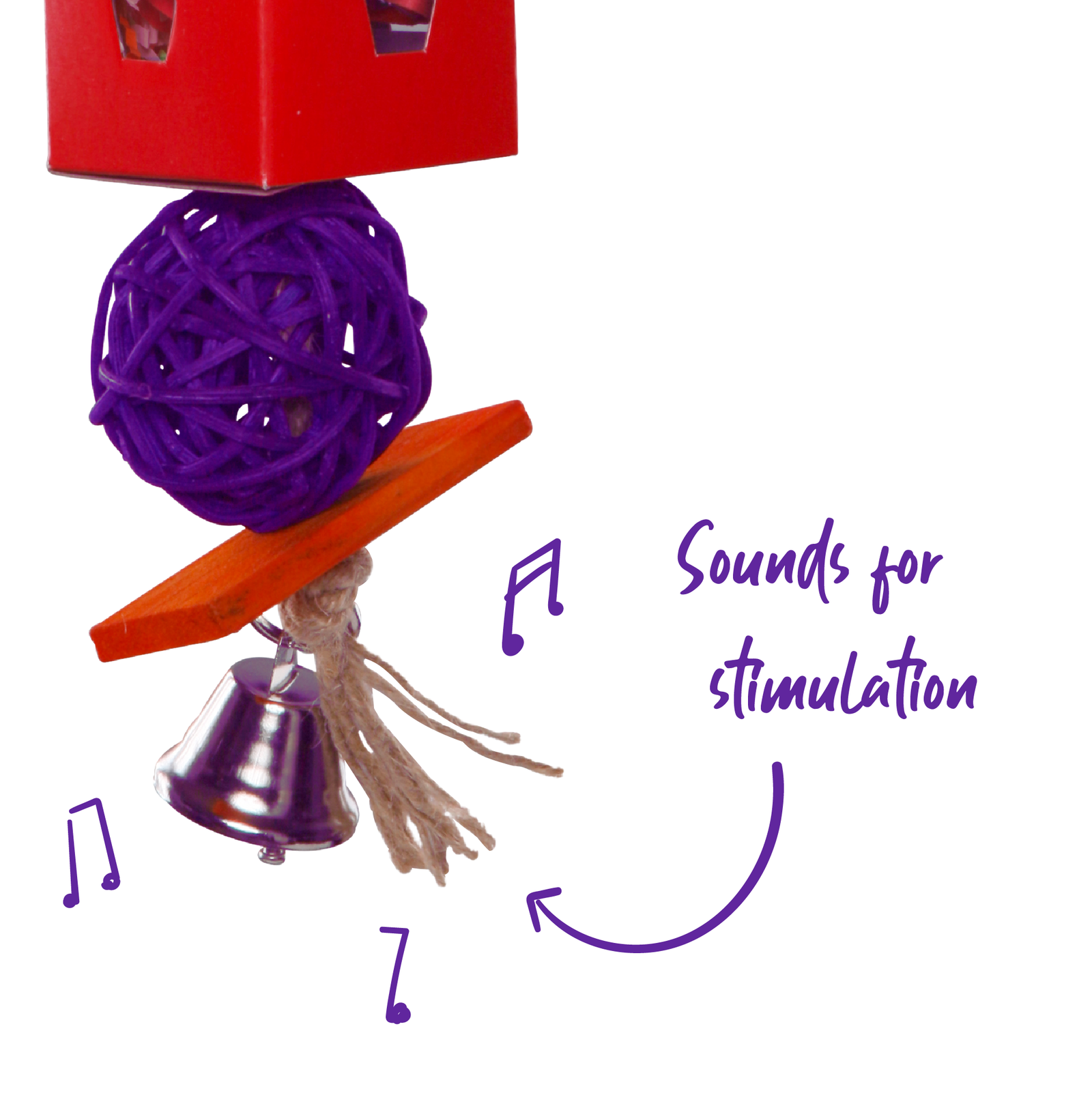 Twin Ball & Cardboard Foraging Toy - Kazoo Pet Co