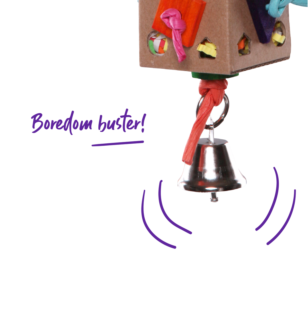 Cardboard Activity Box with Bell - Kazoo Pet Co